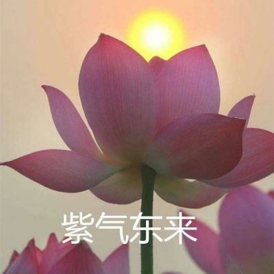 三国志名将令变态版下载